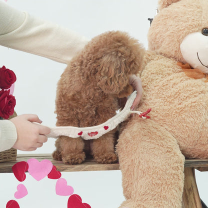 Herz-Körpergeschirr