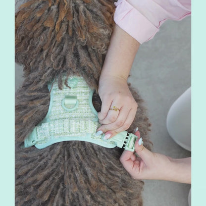  Mint Chic Trail Harness