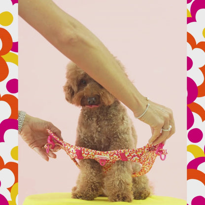 Arnés Body Flores Pop by Agatha Ruiz de la Prada