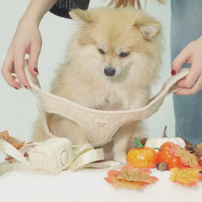 Arnés Body Jersey Couture