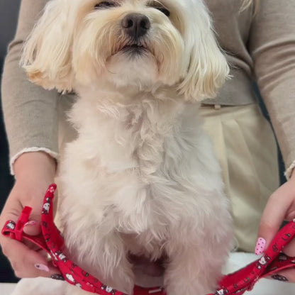 Arnés Body Hello Kitty Red