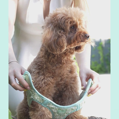 Arnés Body Mint Chic