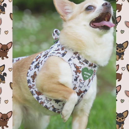 Pack Arnés Body Chihuahua