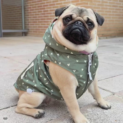 Chubasquero Autumn Picnic