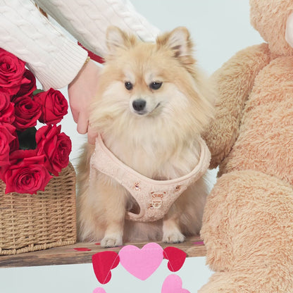 Teddy-Körpergeschirr