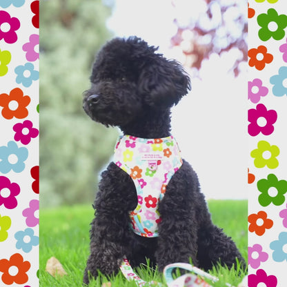 <tc>Flowers Adjustable Harness My Pug & Co by Agatha Ruiz de la Prada</tc>