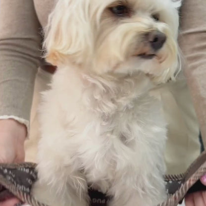 Tartan Step In Harness (Pre-sale)