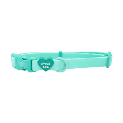 Collar Waterproof Turquesa - Verde