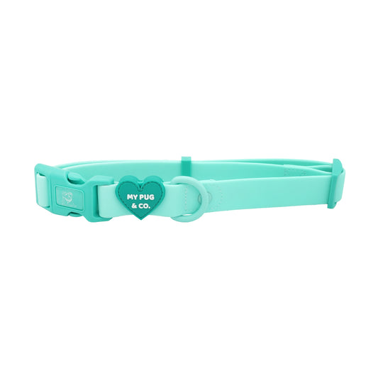 Collar Waterproof Turquesa - Verde