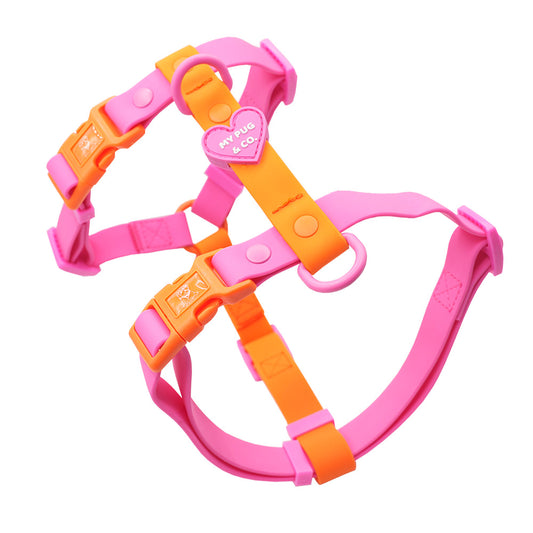 Adjustable Waterproof Harness Pink - Orange