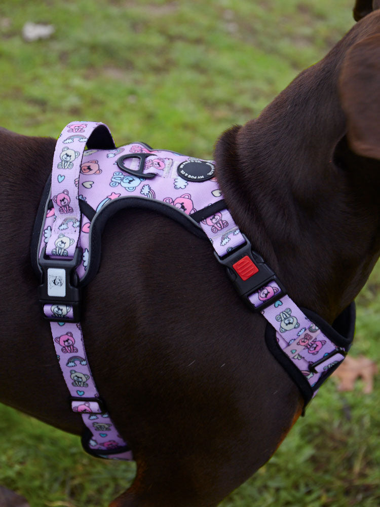 <tc>Teddy Bears Trails Harness</tc>