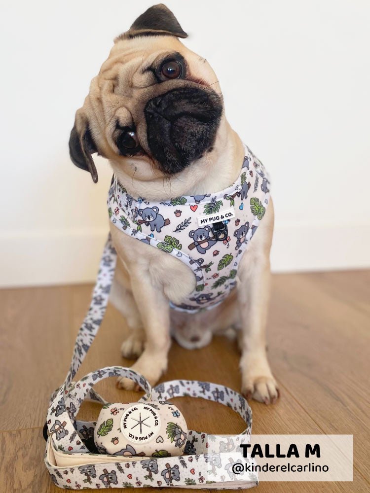 Arnés Ajustable Lazy Koala - MyPug&Co