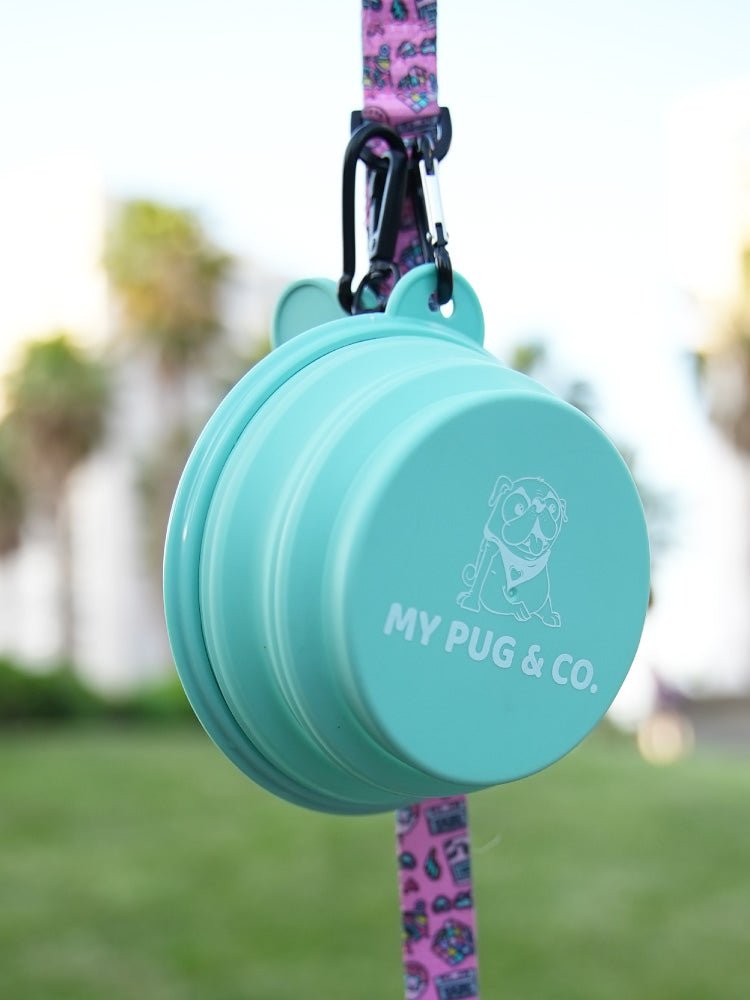 Bebedero Plegable - MyPug&Co