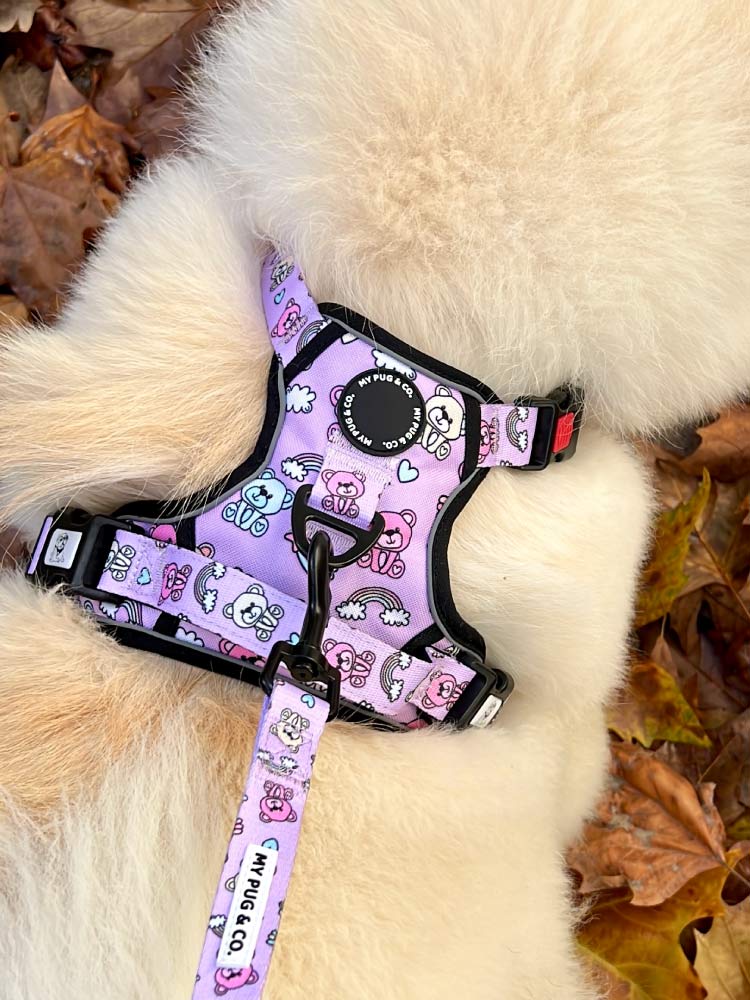 <tc>Teddy Bears Trails Harness</tc>