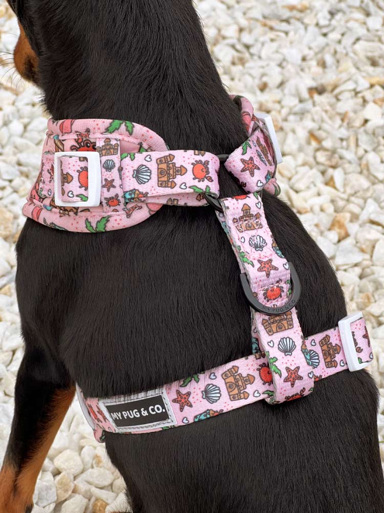 Arnés Ajustable Beach Day - MyPug&Co