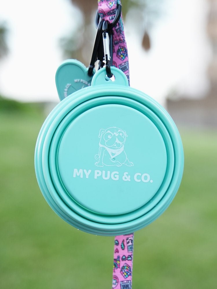 Bebedero Plegable - MyPug&Co