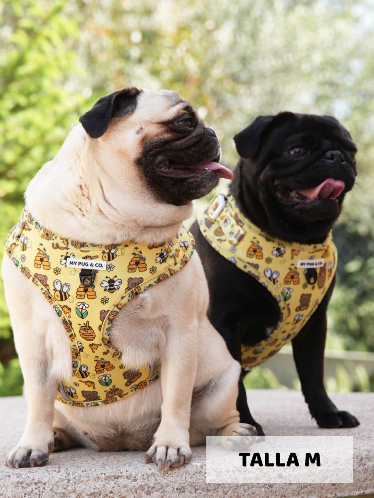 Arnés Ajustable Honey - MyPug&Co