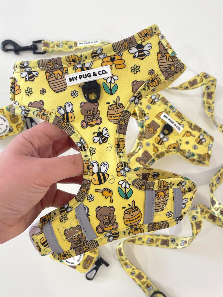 Arnés Ajustable Honey - MyPug&Co