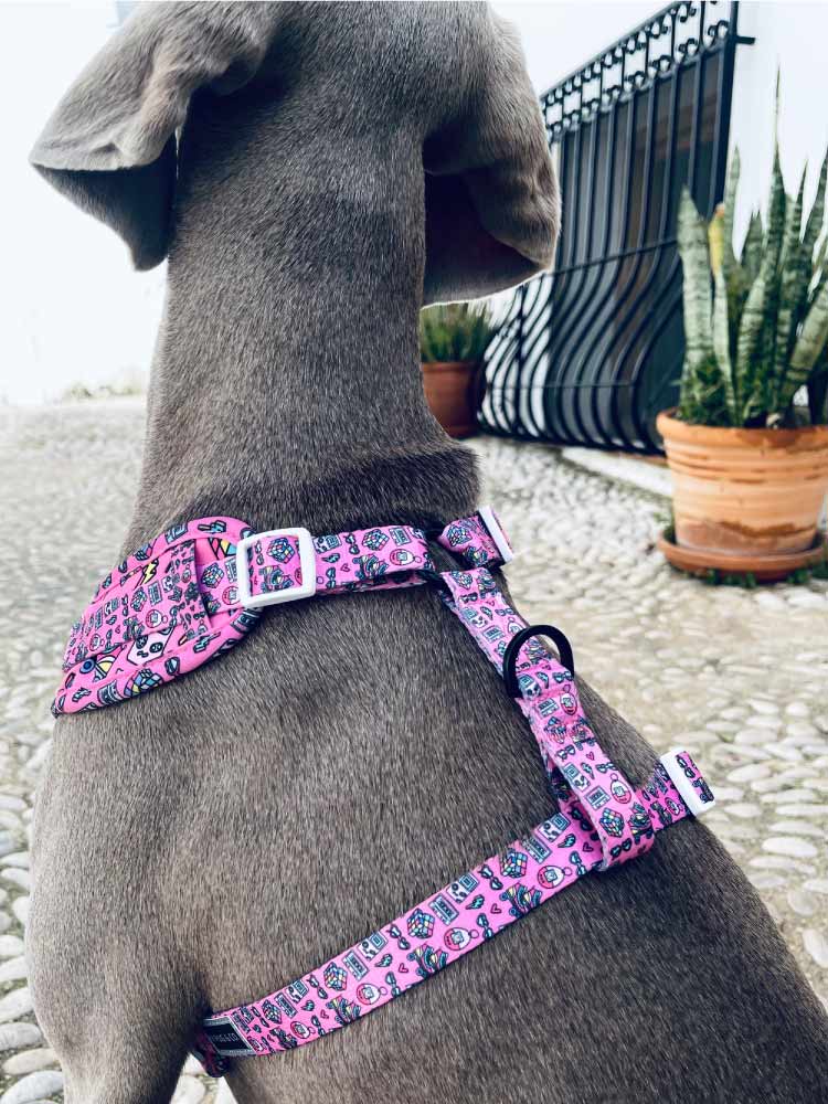 Arnés Ajustable 90’s Baby - MyPug&Co