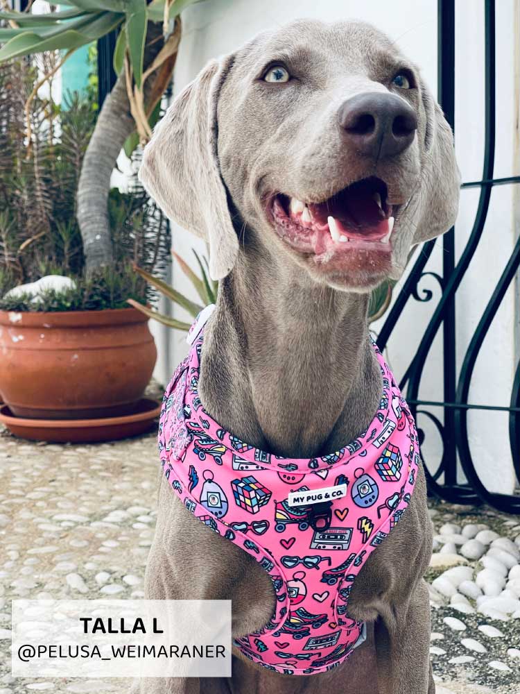 Arnés Ajustable 90’s Baby - MyPug&Co