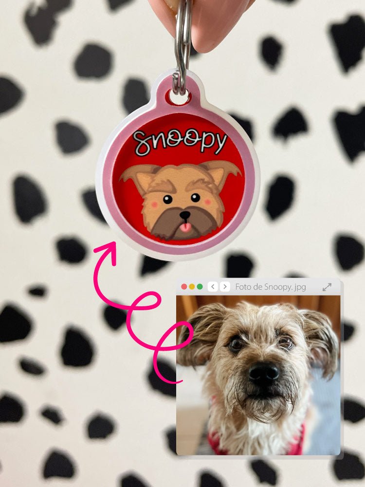 Chapa Totalmente Personalizada - MyPug&Co